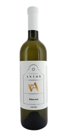 Hibernal 2023, Antoš