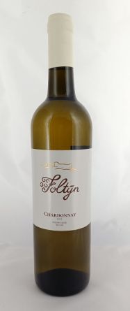 Chardonnay 2022, Foltýn